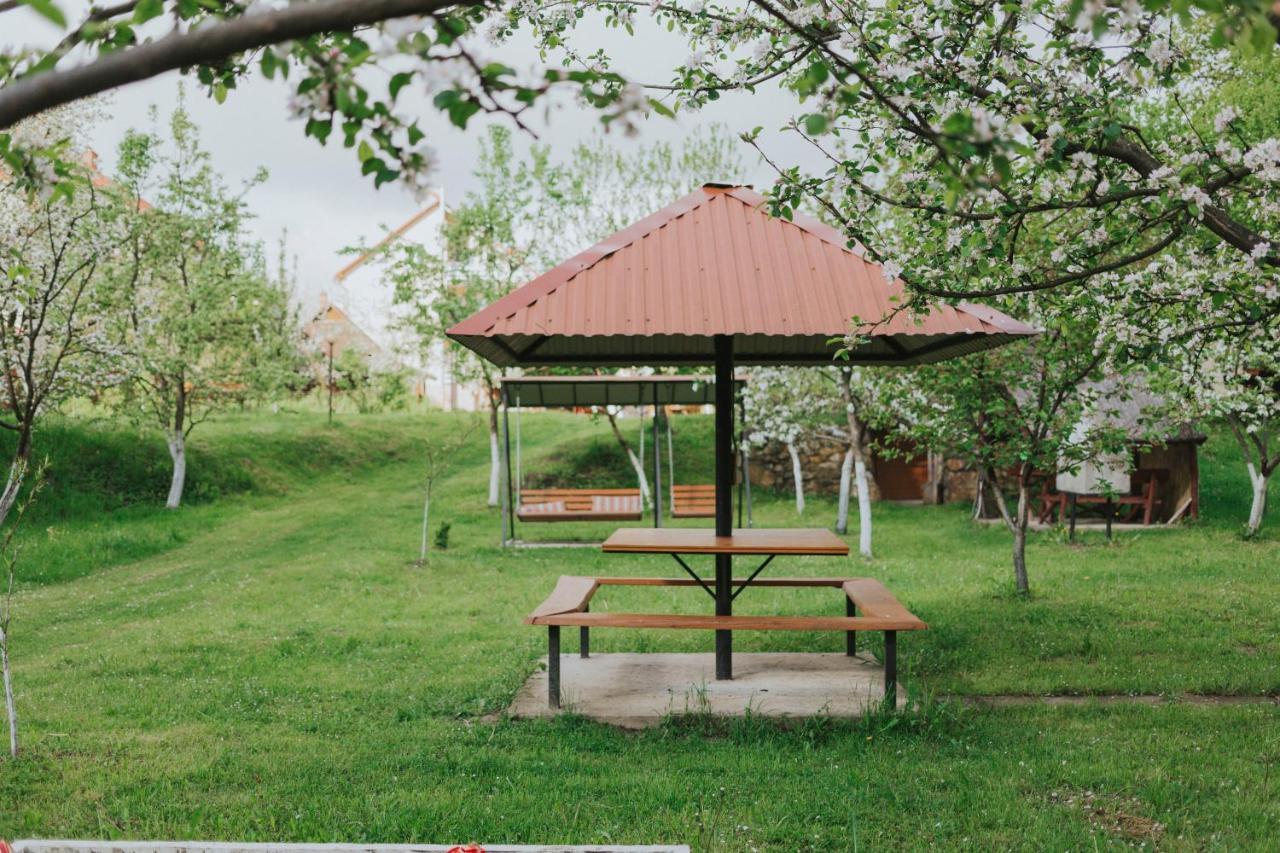 У Оксани Hotel Solochyn Buitenkant foto