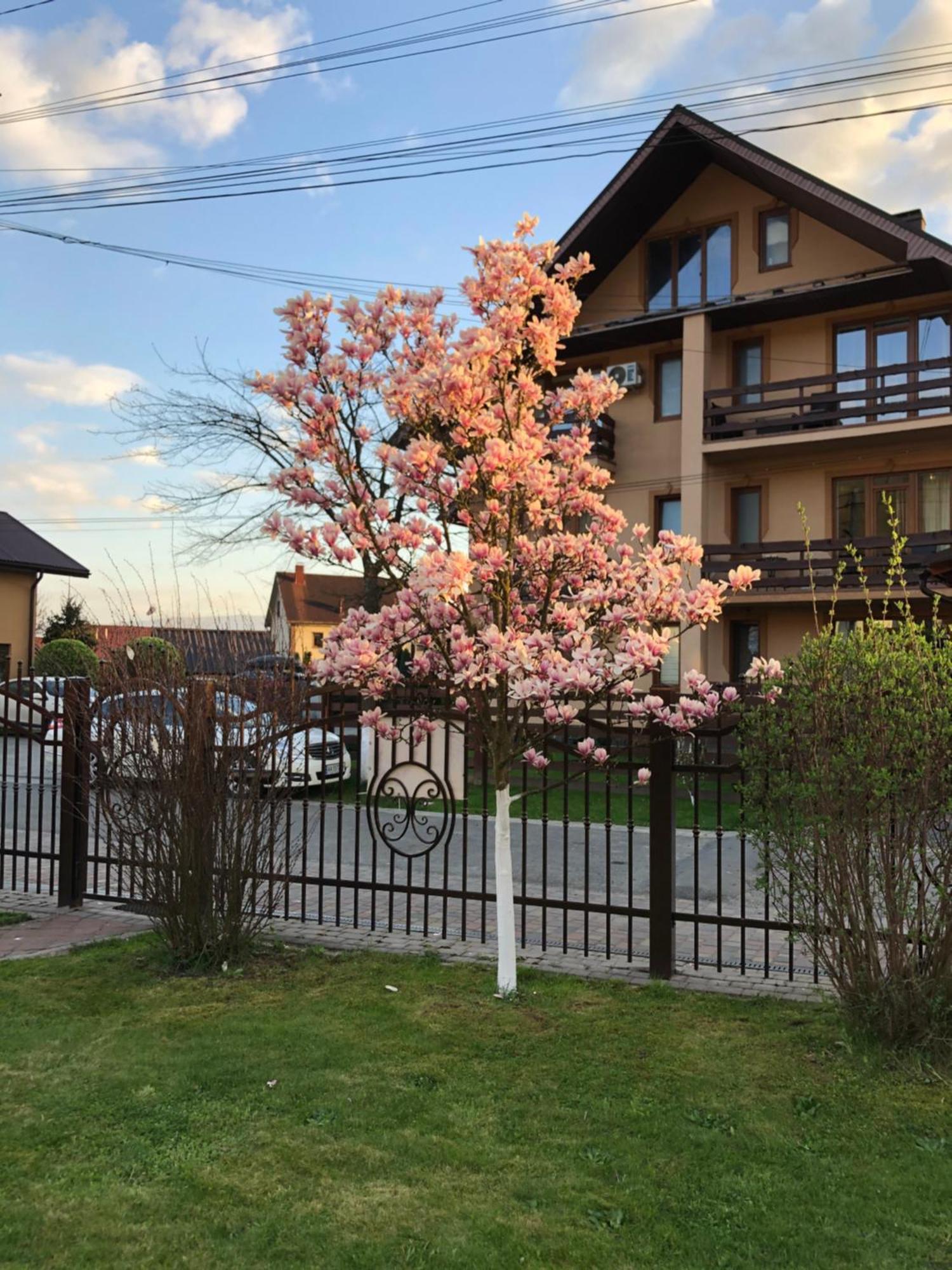 У Оксани Hotel Solochyn Buitenkant foto